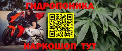 стаф Тулун