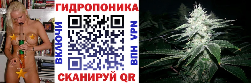 как найти наркотики  Анапа  Канабис Bruce Banner 